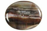 1.9" Polished Petrified Wood Worry Stones - Photo 2